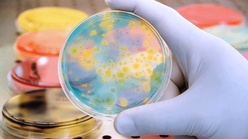 生物科技技术服务外包：揭秘背后的品牌选择之道**