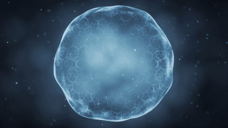 生物药企的CRO困局：本地化服务才是解药