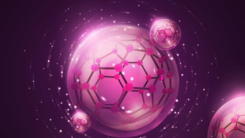 真菌污染悄悄来袭：细胞培养中那些防不胜防的破绽