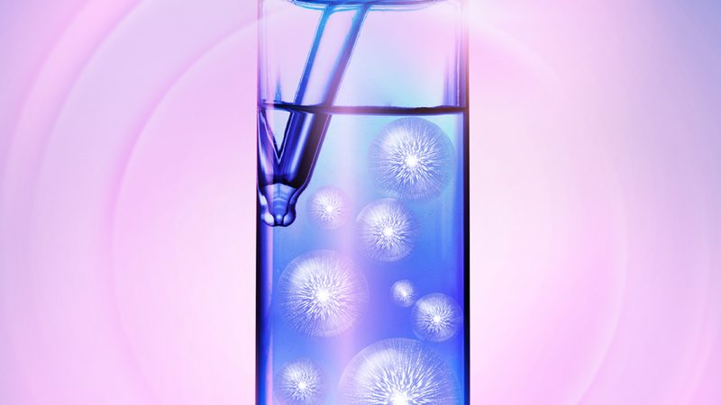 实时荧光PCR检测：流程解析与关键要点