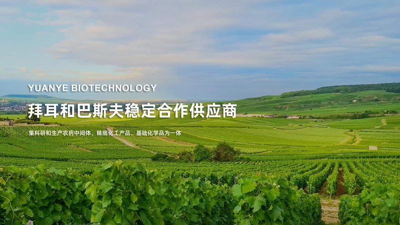 无菌制剂外包，为什么生物医药企业开始“放手
