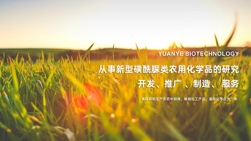 过期培养基为什么总被低估