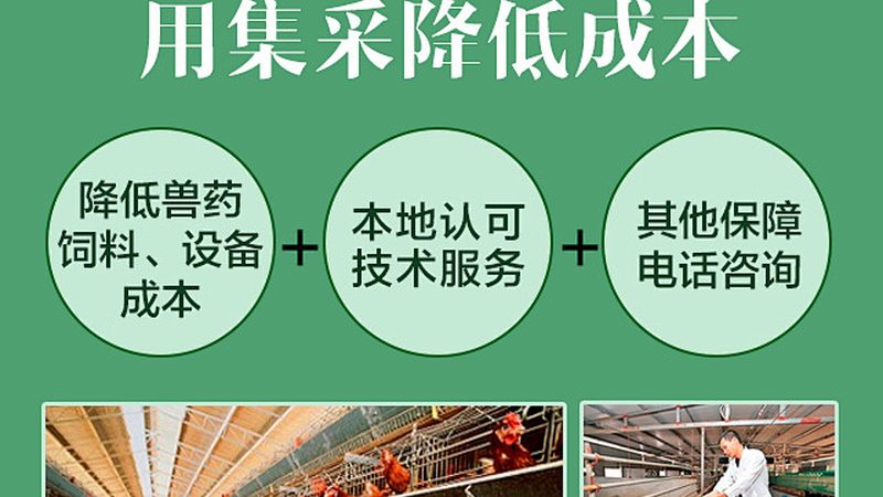 PCR采样管型号规格