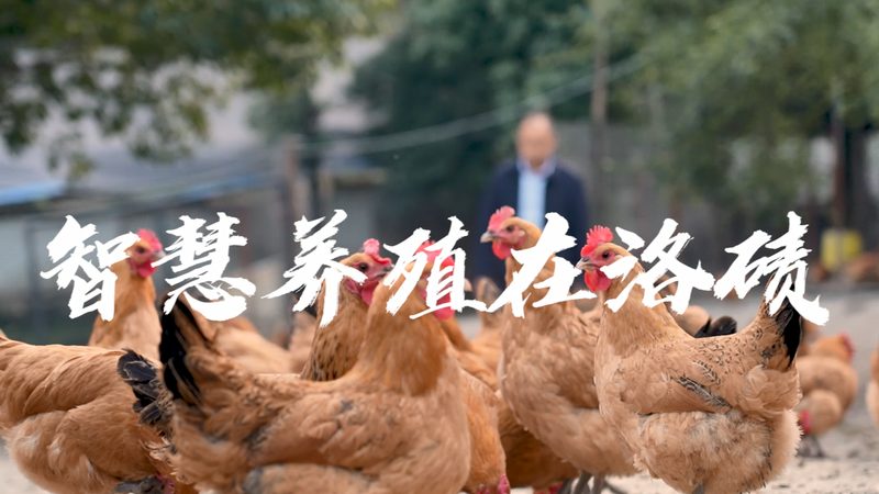 实验室耗材定制：规格参数背后的关键考量