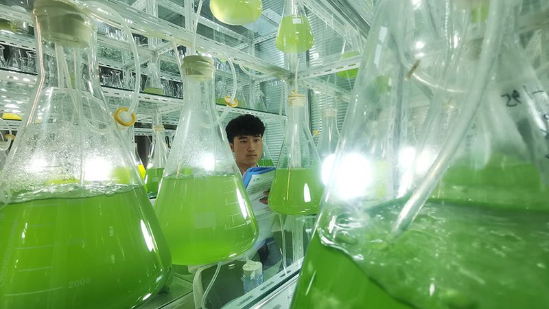 基因检测与筛查：揭秘批发价格背后的真相
